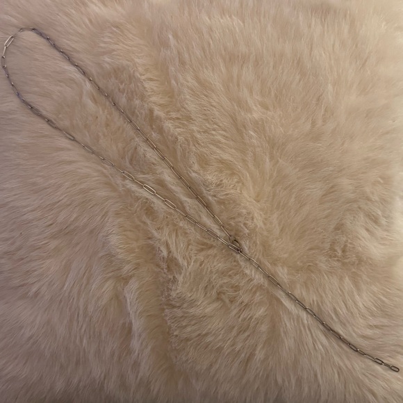 Jewelry - silver chain lariat necklace